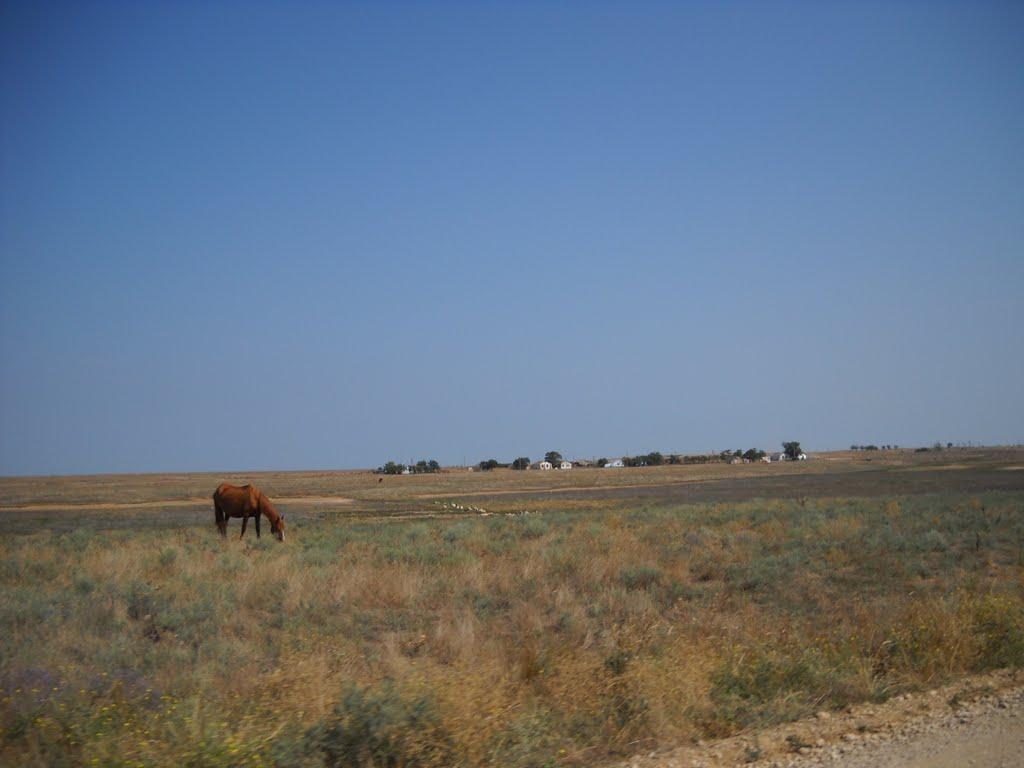 Львове з panoramio.com - Львове