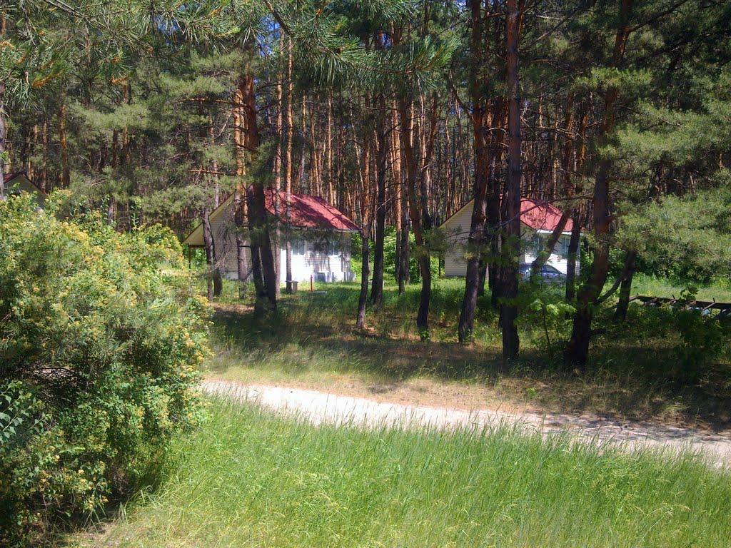 Металівка з panoramio.com - Металівка