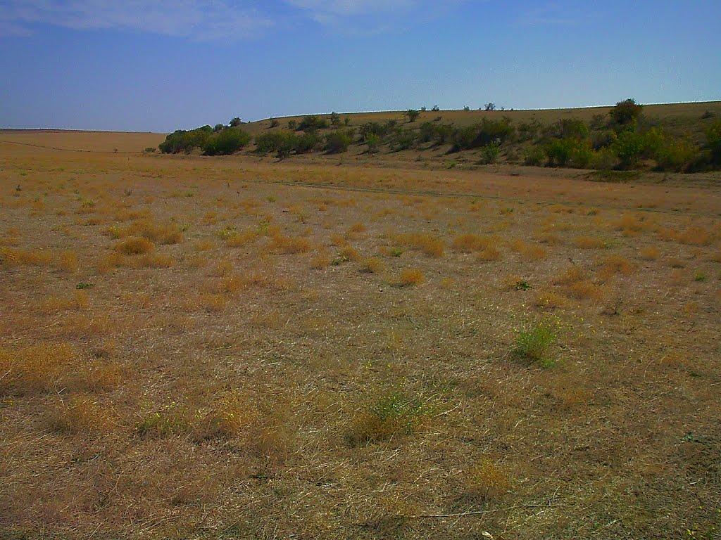 Кочергіне з panoramio.com - Кочергино
