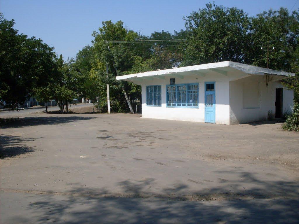 Нова Іванівка з panoramio.com - Новая Ивановка