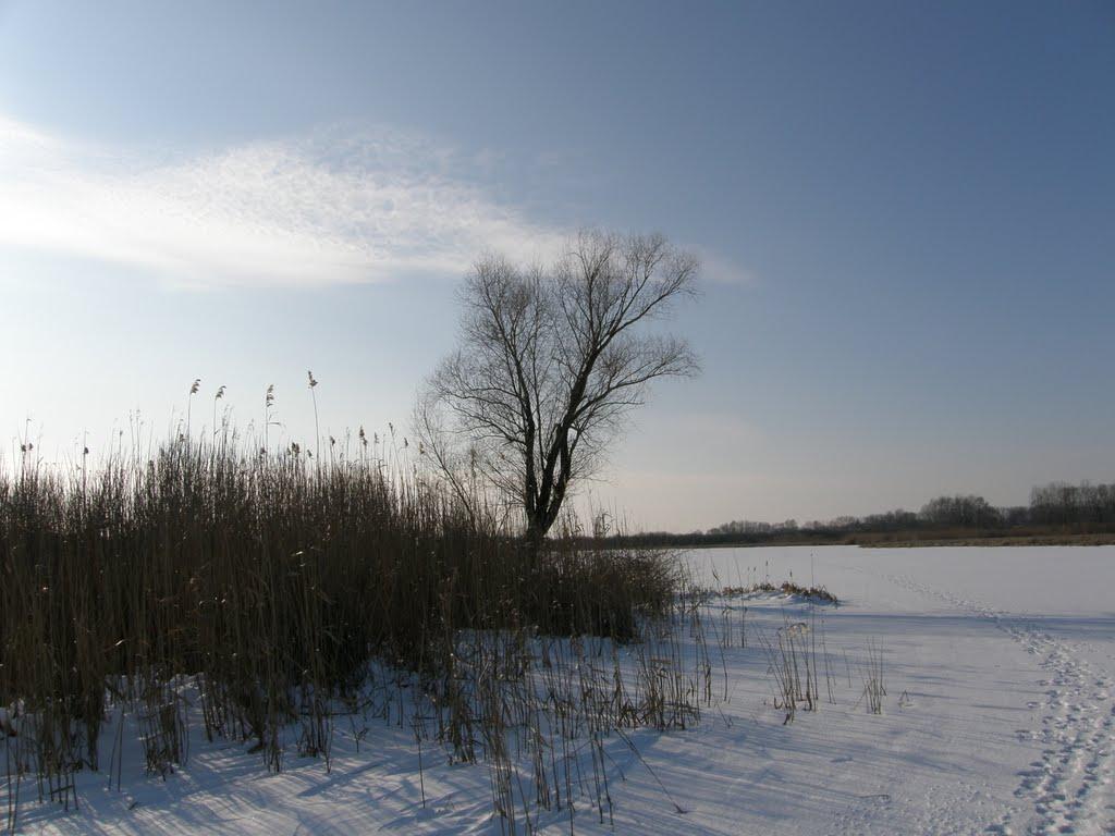 Оржиця з panoramio.com - Orzhytsya