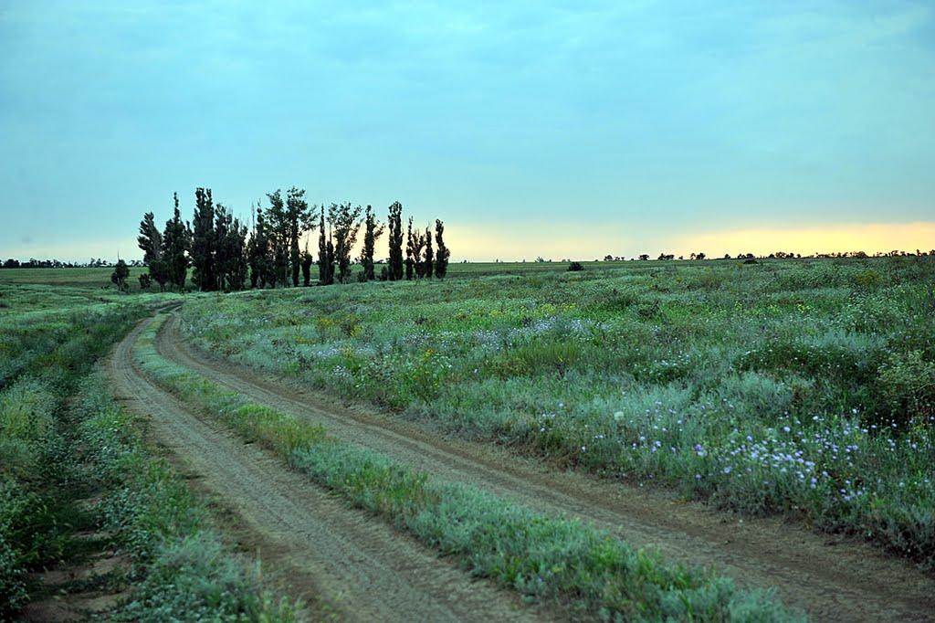 Мала Тернівка з panoramio.com - Мала Тернівка