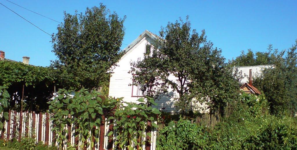 Войнилів з panoramio.com