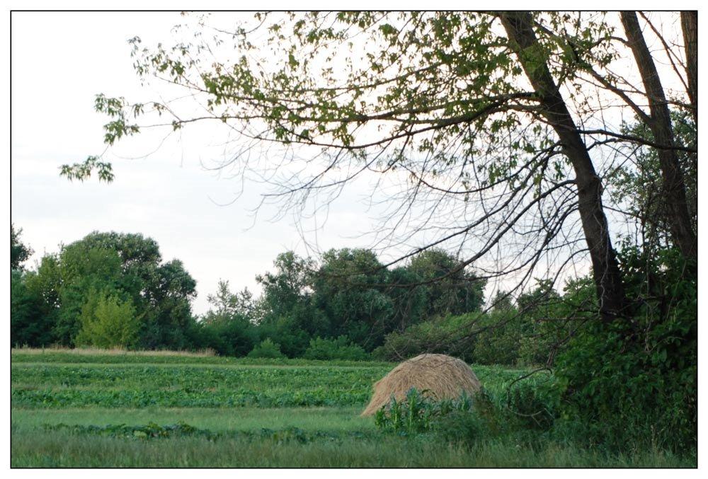 Нова Басань з panoramio.com - Нова Басань