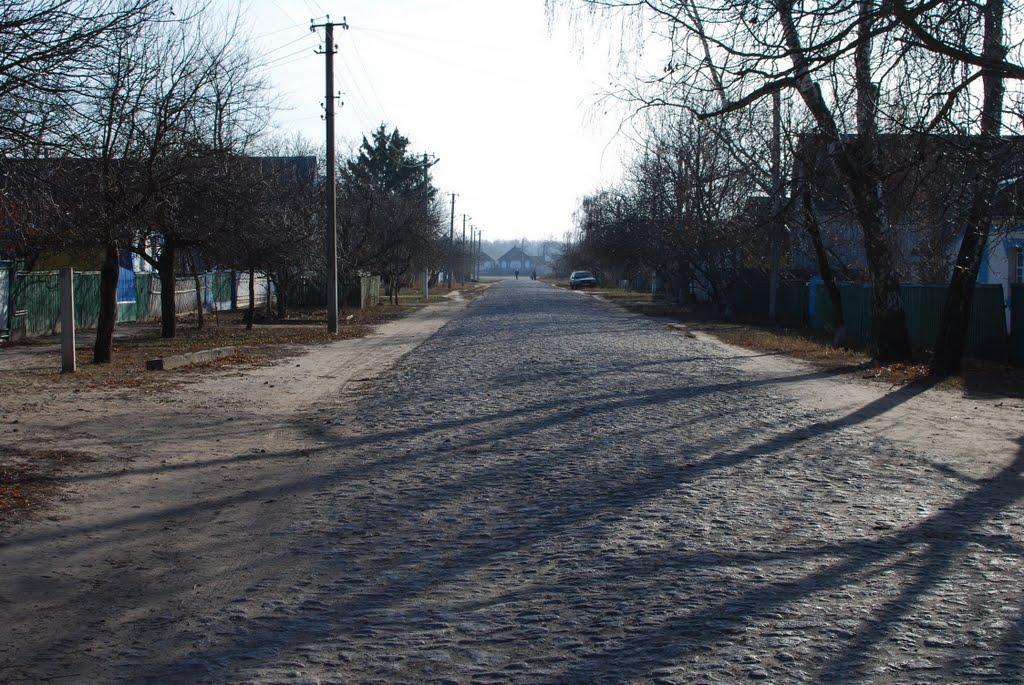 Велика Севастянівка з panoramio.com - Велика Севастянівка