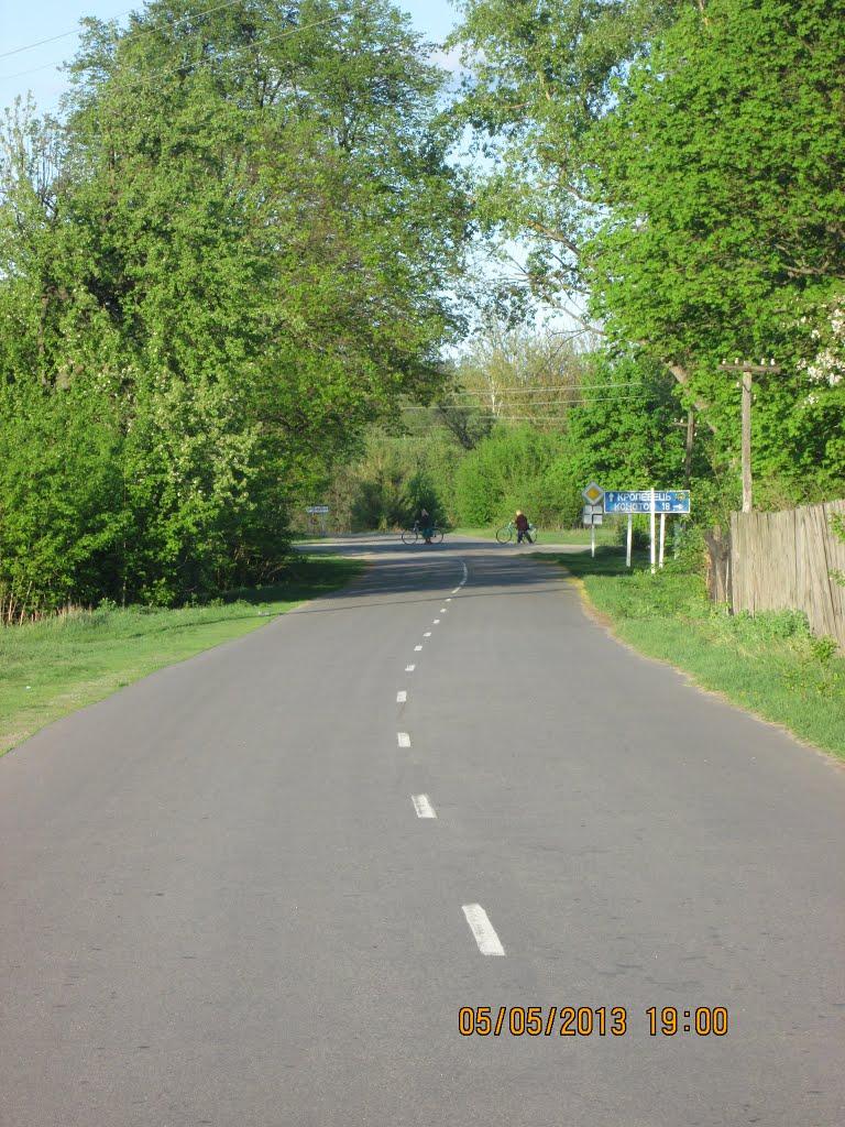 Чорноплатове з panoramio.com - Чорноплатове