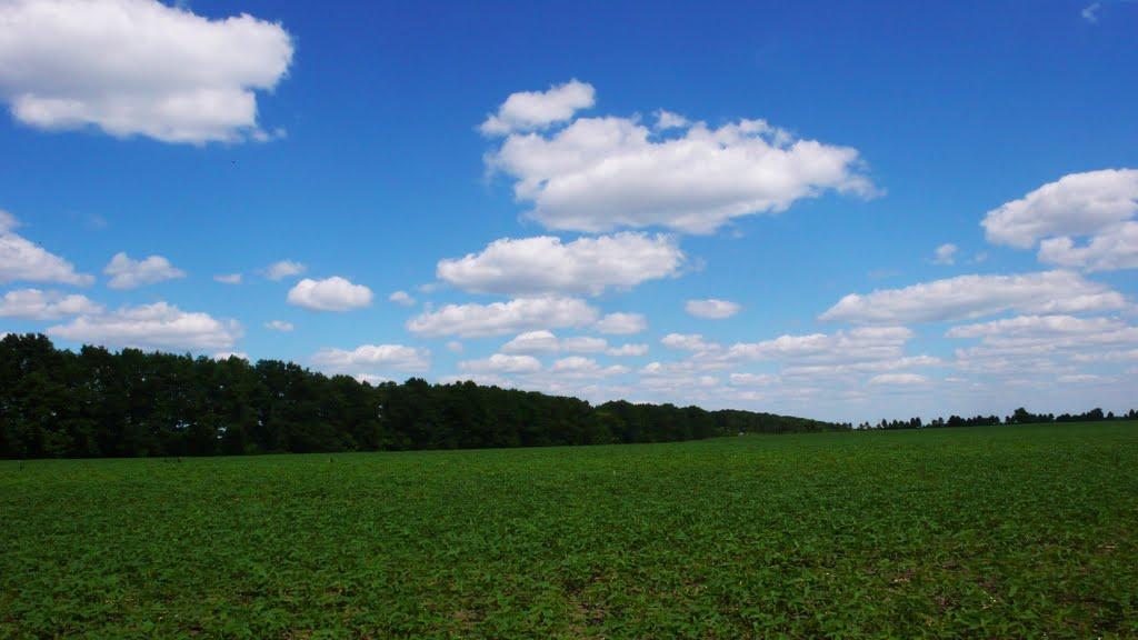 Шишаки з panoramio.com - Shishaki