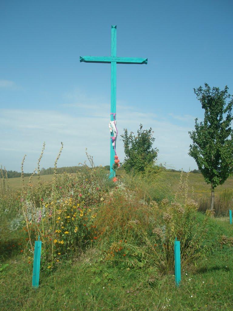 Підбрусинь з panoramio.com - Підбрусинь