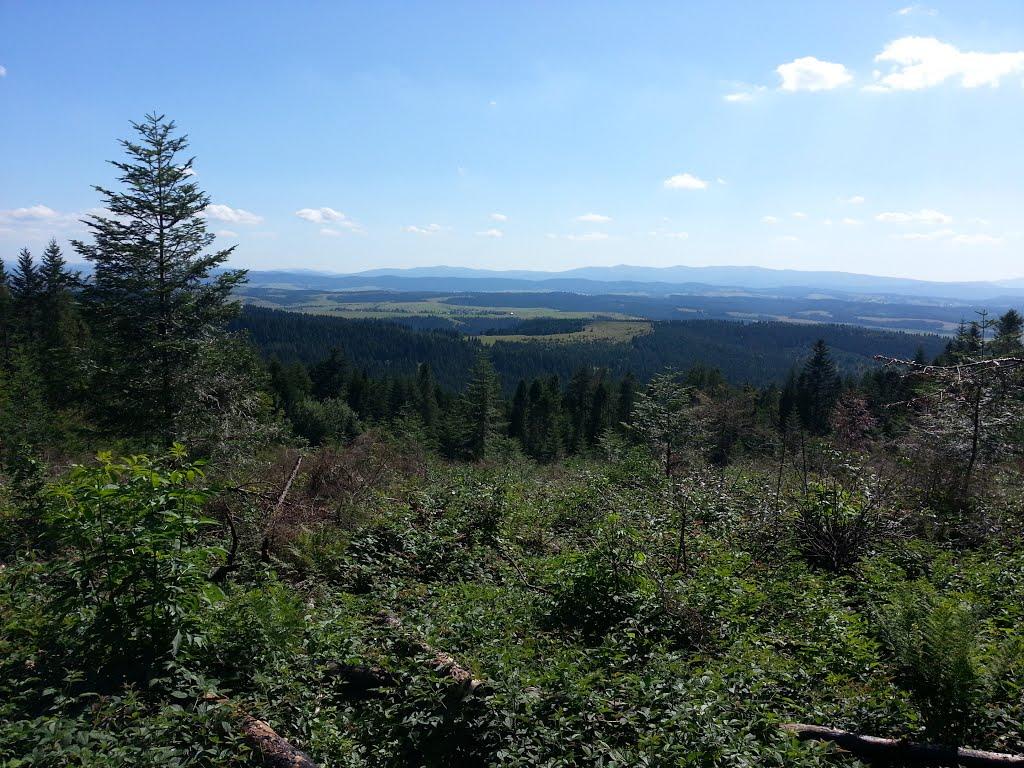 Розлуч з panoramio.com - Розлуч