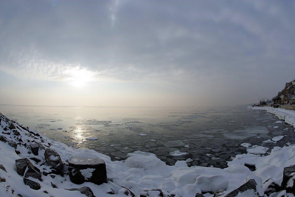 Бурлача Балка з panoramio.com - Бурлача Балка