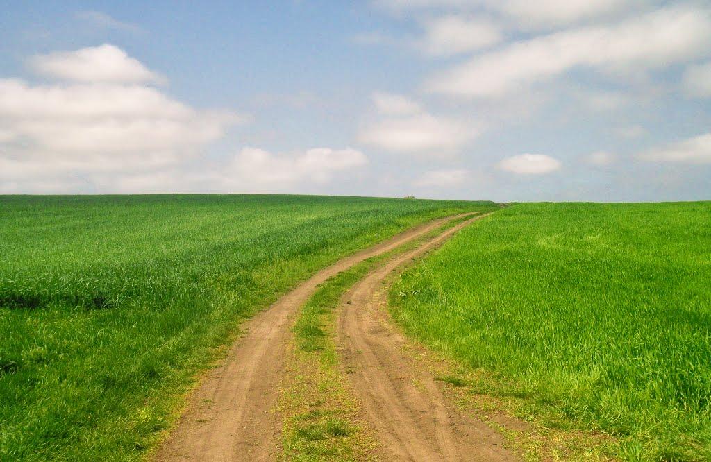 Зелена Левада з panoramio.com - Зелена Левада