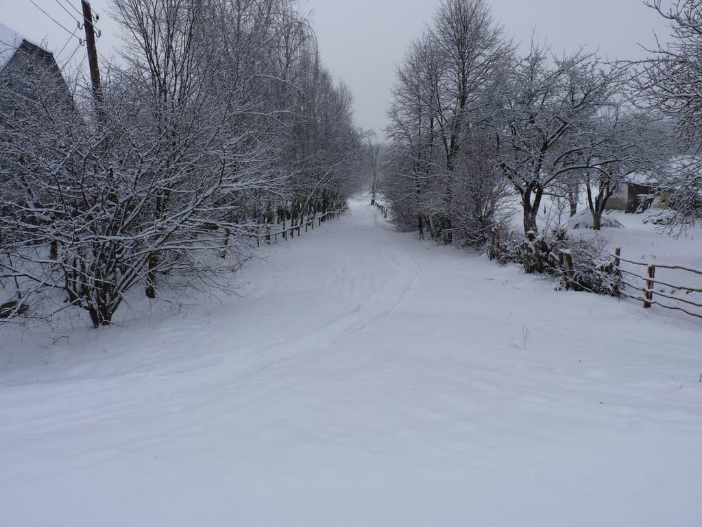 Травневе з panoramio.com - Травневе