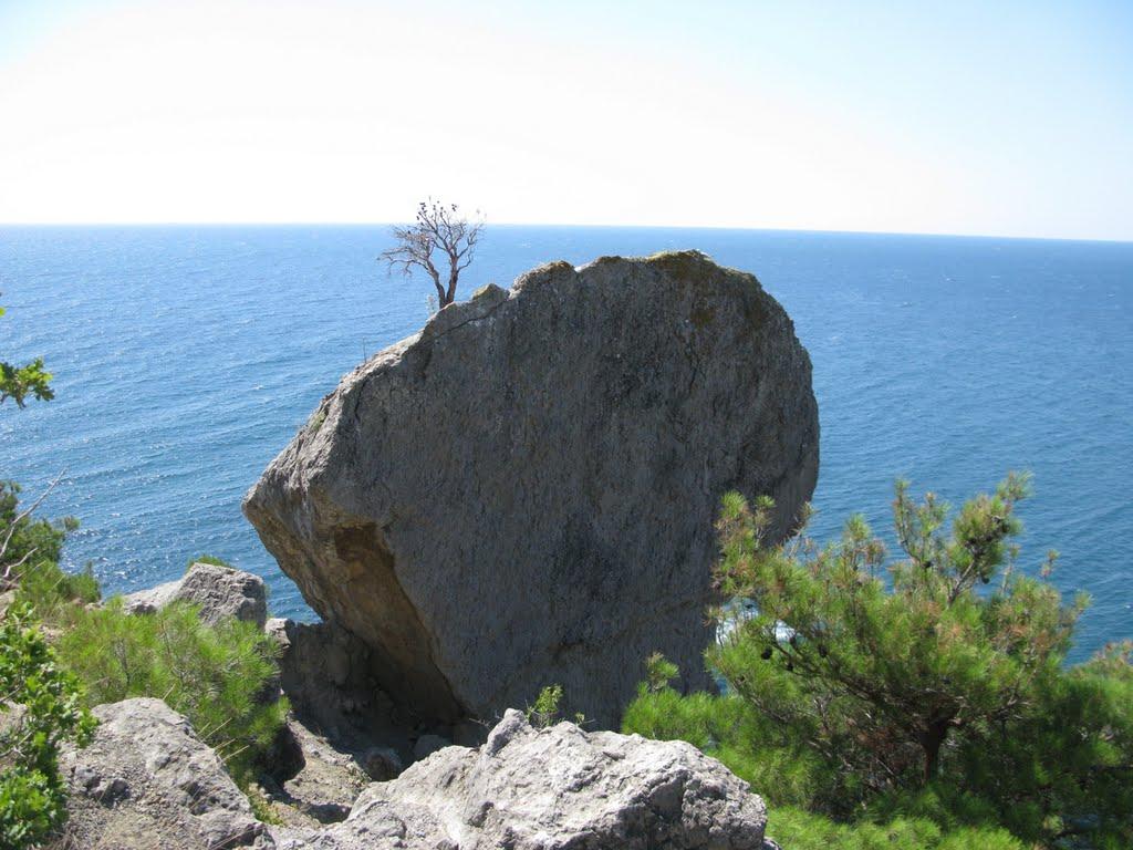 Долина з panoramio.com - Долина