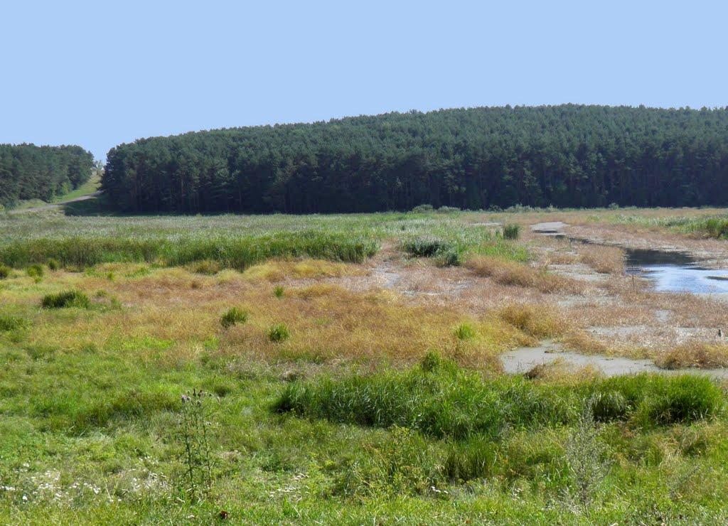 Воютин з panoramio.com - Воютин