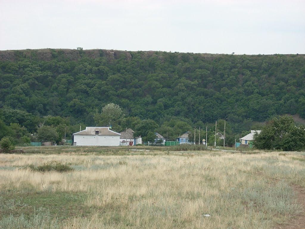 Грибуваха з panoramio.com - Грибоваха