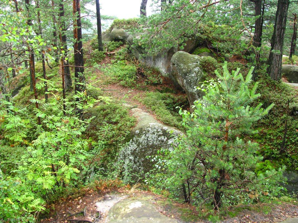 Поляниця з panoramio.com - Поляница