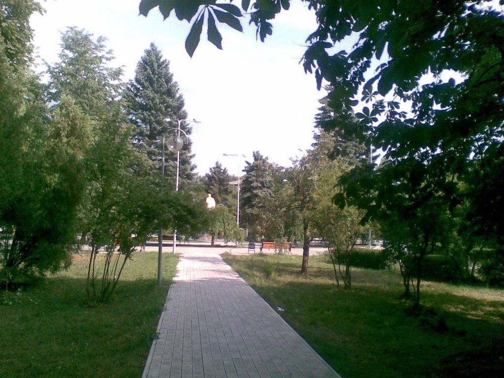 Кремінець з panoramio.com - Kreminets
