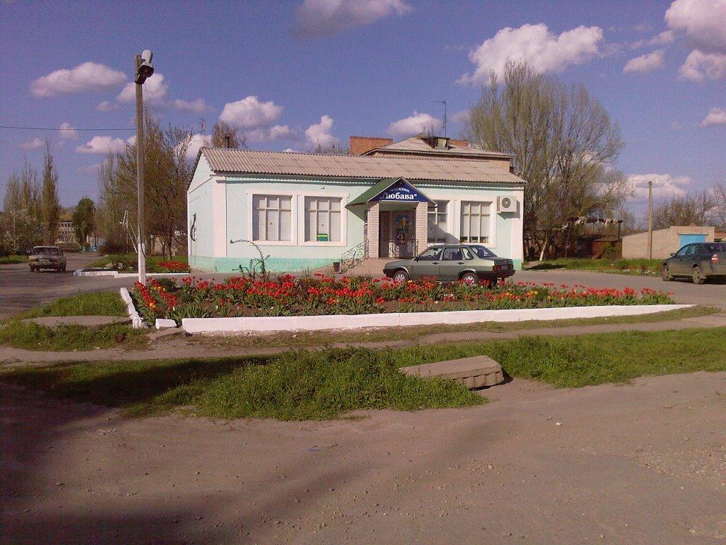 Приазовське з panoramio.com - Приазовське