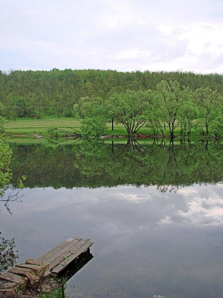 Губник з panoramio.com - Губник