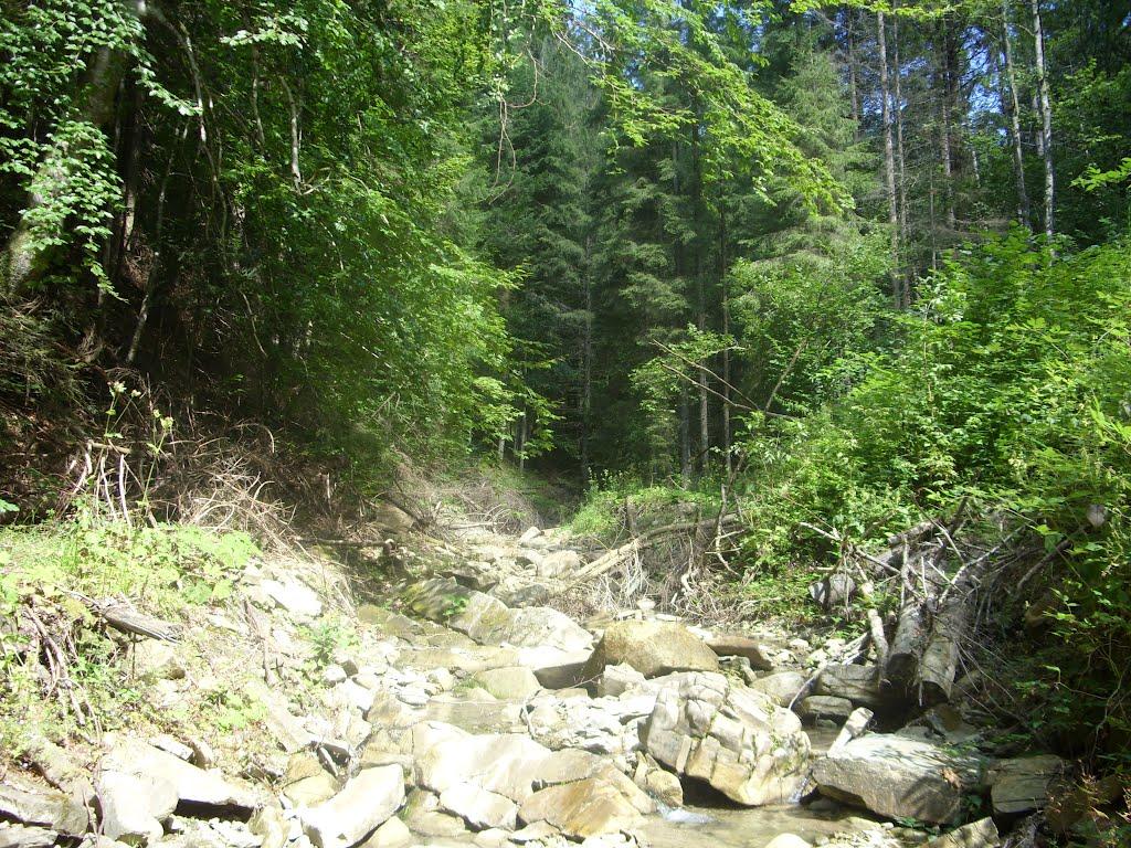 Фальків з panoramio.com (ч.2) - Фальків
