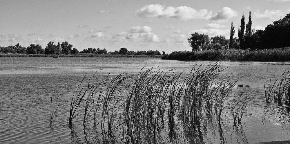 Ювілейне з panoramio.com - Yuvileyne