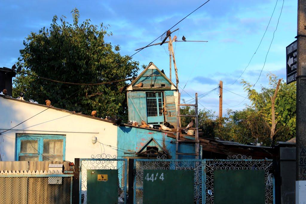 Новий Буг з panoramio.com - Новий Буг