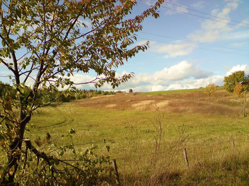 Дуляби з panoramio.com - Дуляби