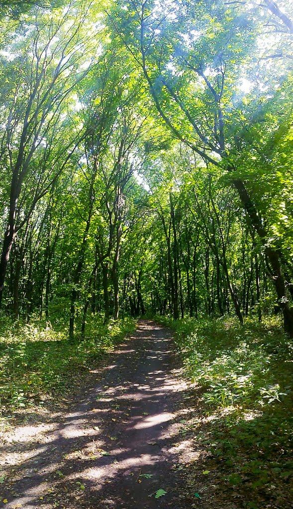 Хорішки з panoramio.com - Khorishky