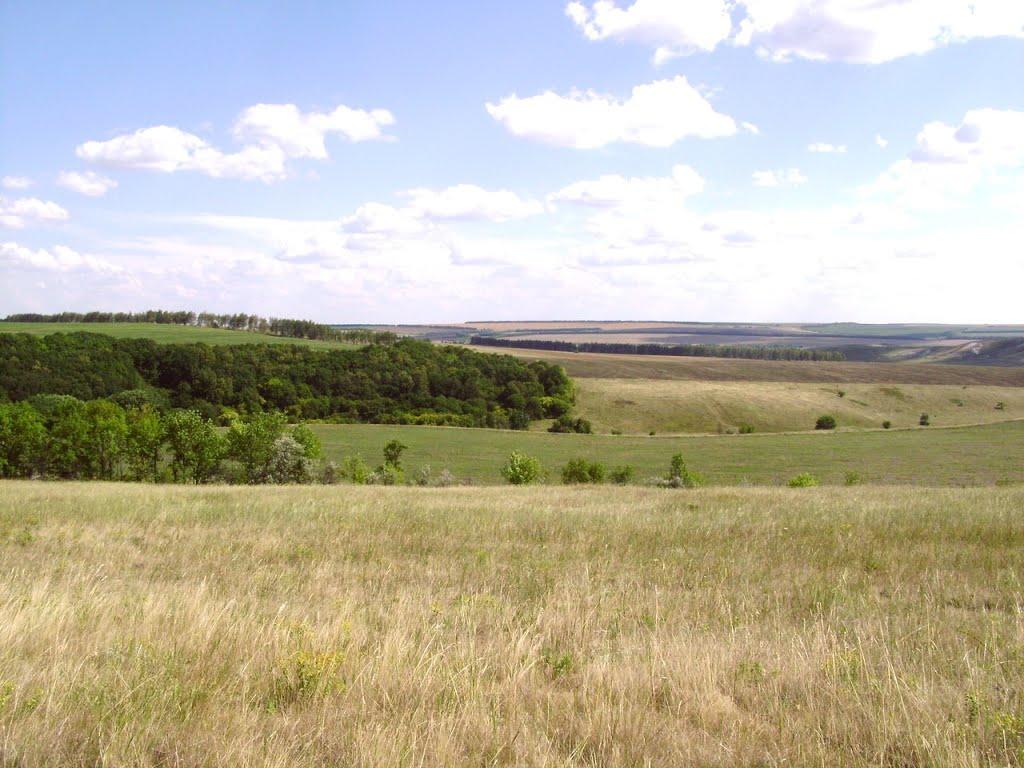 Лозне з panoramio.com - Лозное