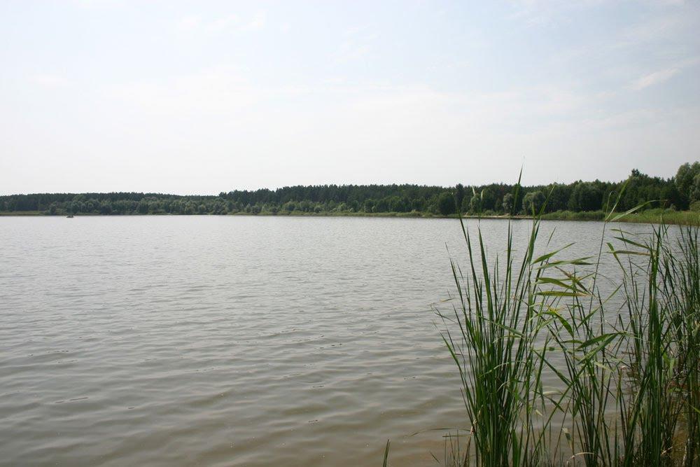 Лебедин з panoramio.com - Lebedyn
