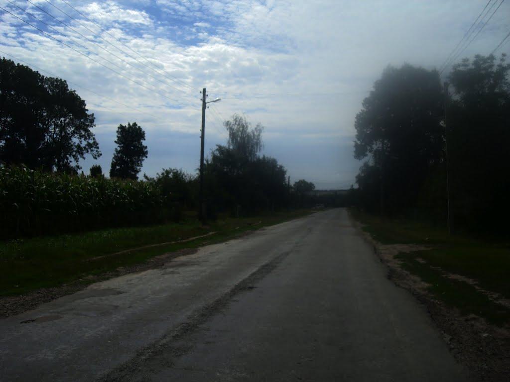 Ружичанка з panoramio.com - Ружичанка