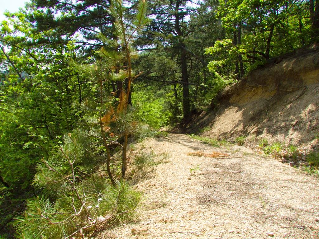 Багата Ущелина з panoramio.com - Bagata Uschelyna