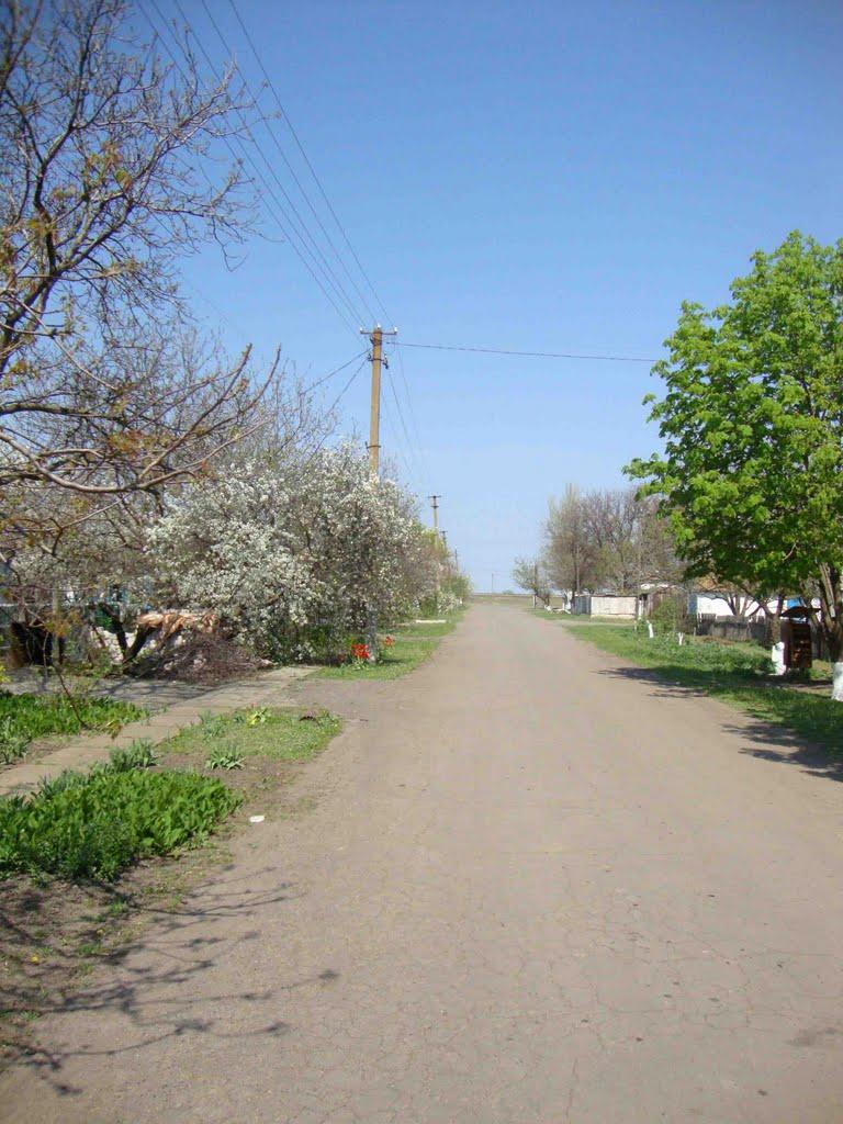 Сірогози з panoramio.com - Сірогози