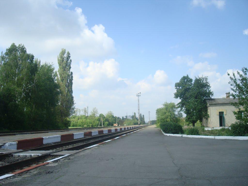 Стара Гута з panoramio.com - Стара Гута