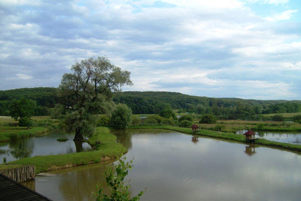 Старі Бросківці з panoramio.com - Stari Broskivtsi