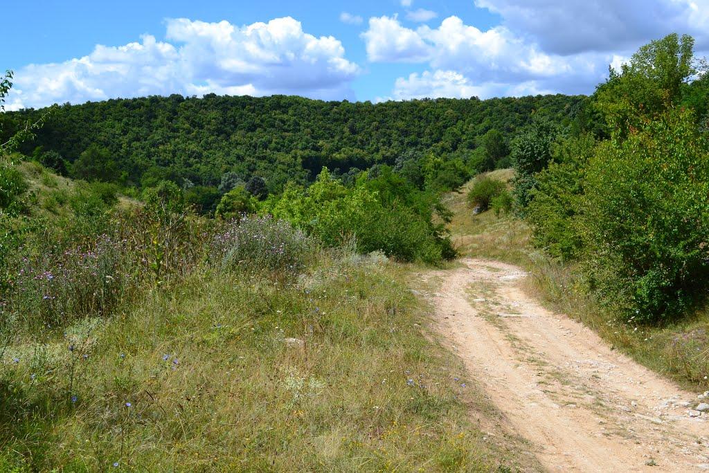 Русава-Радянка з panoramio.com - Русава-Радянка