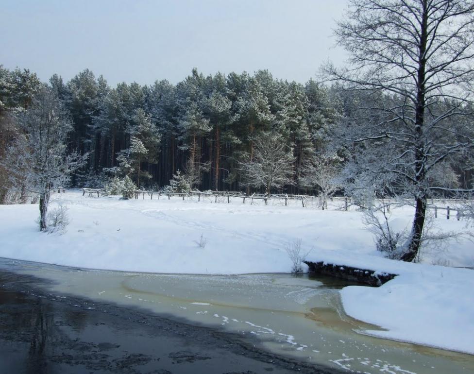 Бережниця з panoramio.com - Бережниця