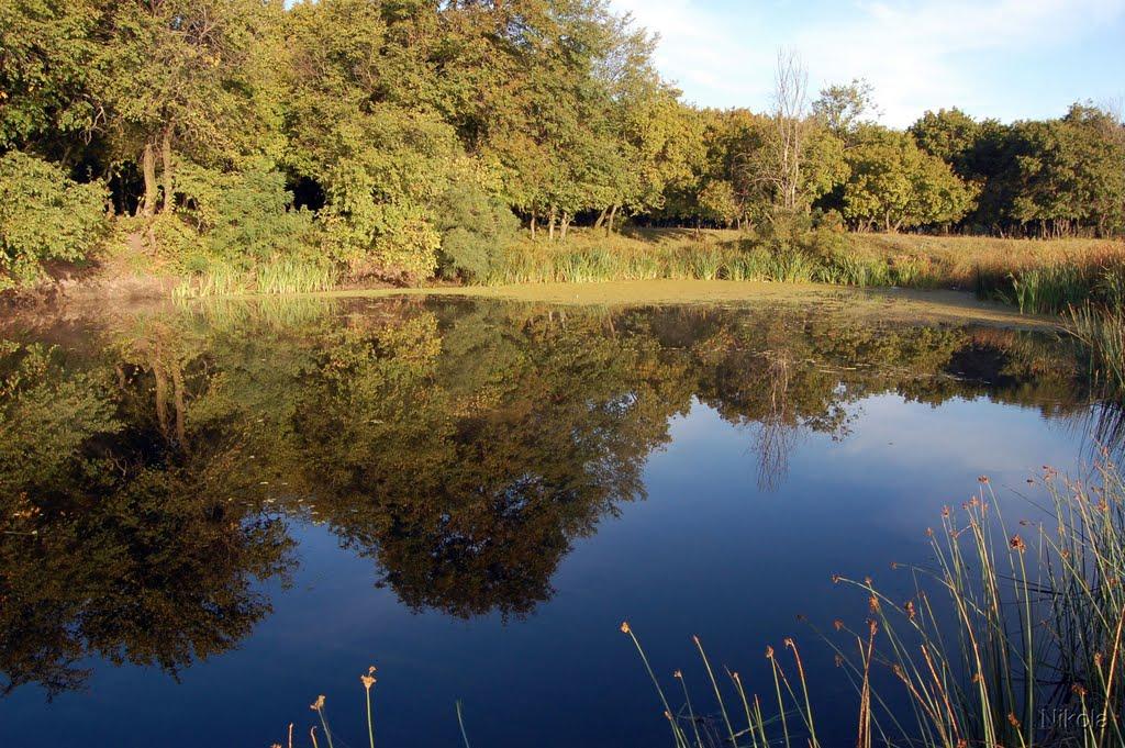 Борівське з panoramio.com - Борівське