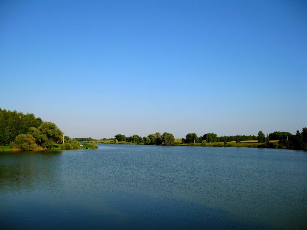 Василе-Устимівка з panoramio.com - Василе-Устимівка