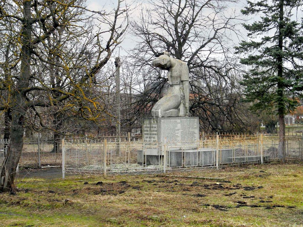 Ходорів з panoramio.com - Ходоров