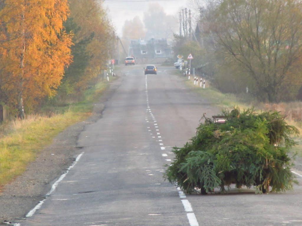 Солотвин з panoramio.com - Солотвин