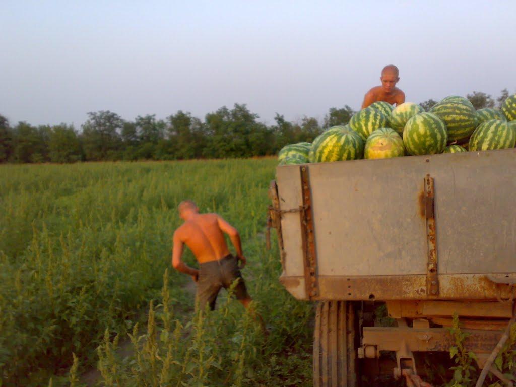 Малі Копані з panoramio.com - Mali Kopani