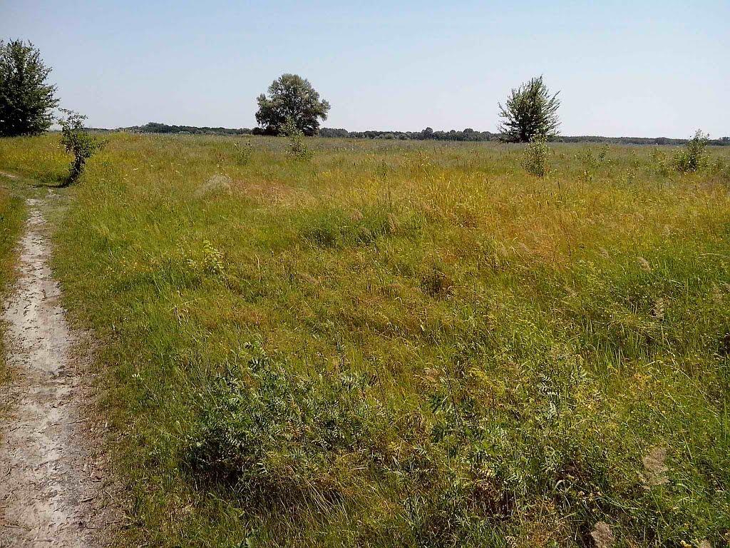 Говтва з panoramio.com - Говтва