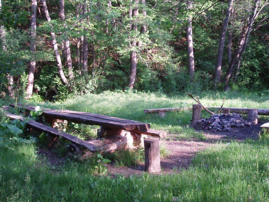 Партизанське з panoramio.com - Партизанське