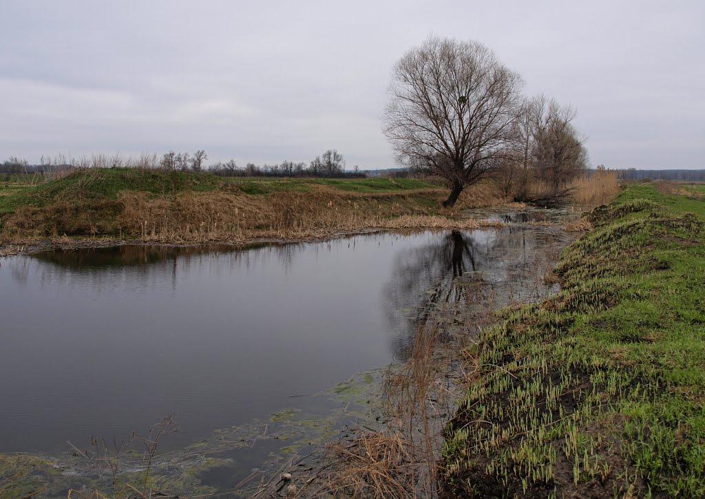 Новоселівка з panoramio.com - Новоселівка