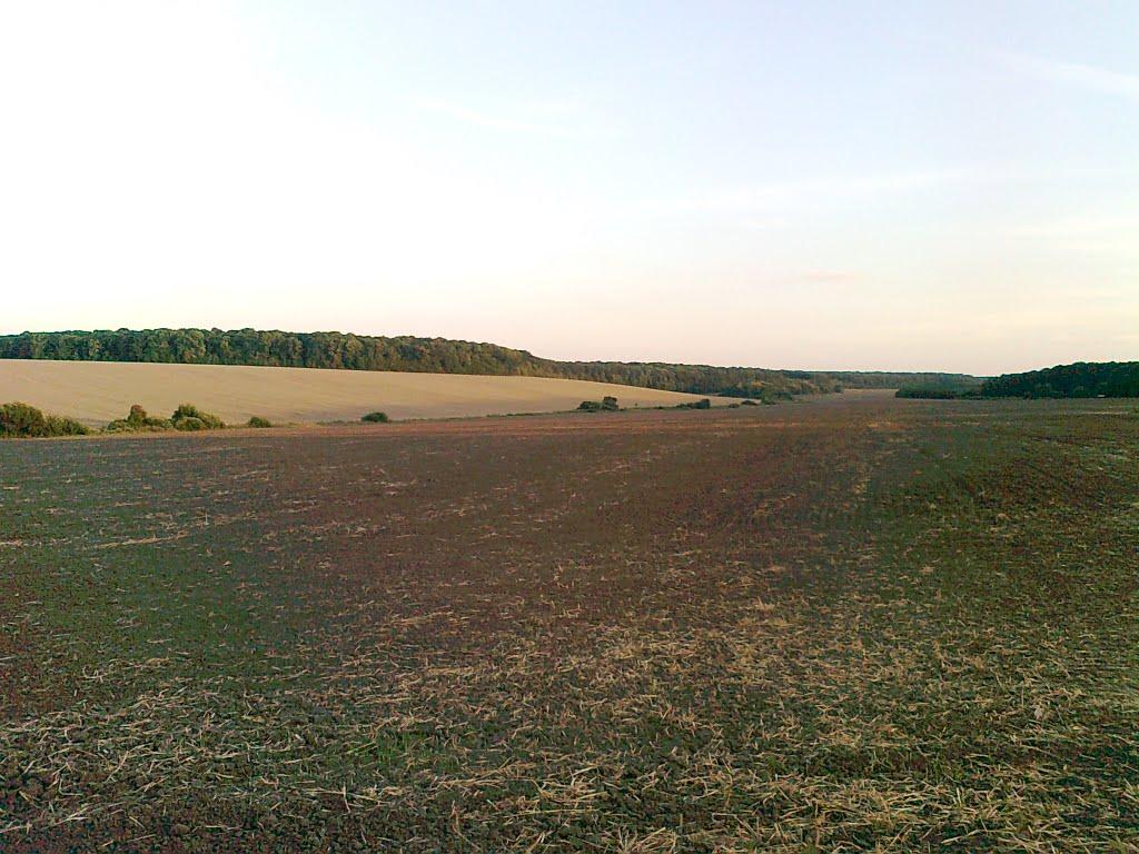 Паланочка з panoramio.com - Паланочка