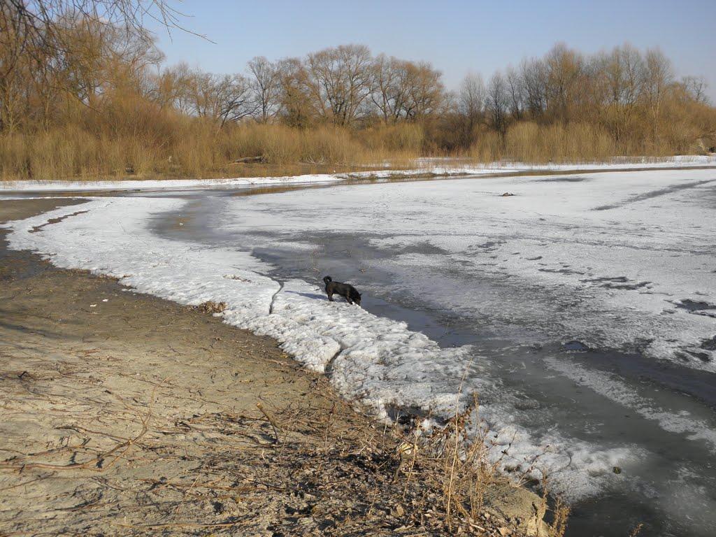 Єньків з panoramio.com - Еньков