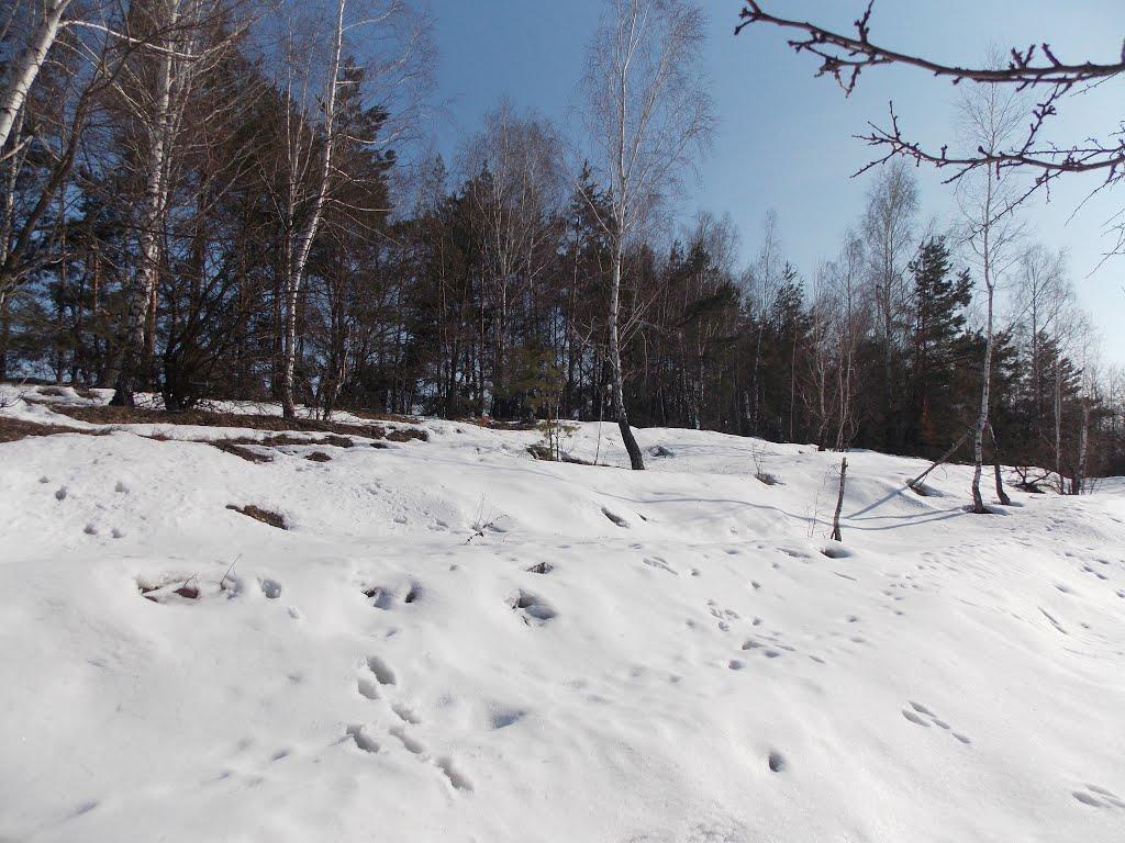 Млинки з panoramio.com - Млынки