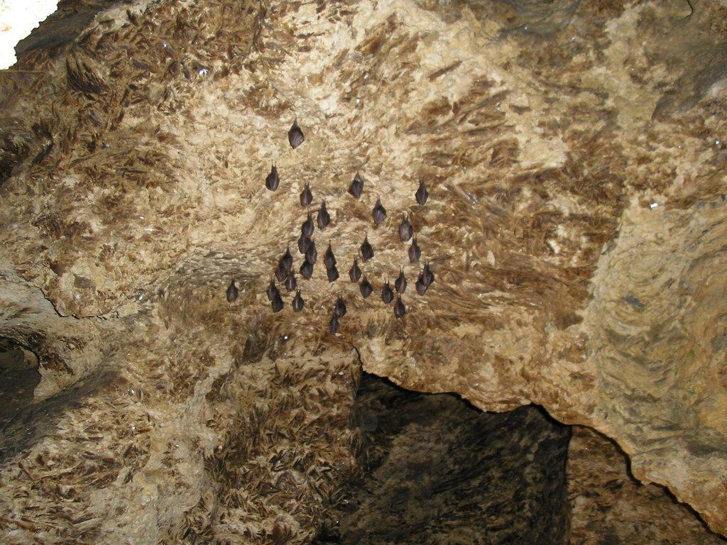 Кривче з panoramio.com - Кривче