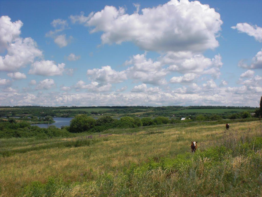 Новодонбаське з panoramio.com - Новодонбасское